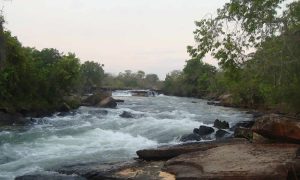 Alto Parnaíba biodiversidade e cultura no encontro do Maranhão com o Piauí