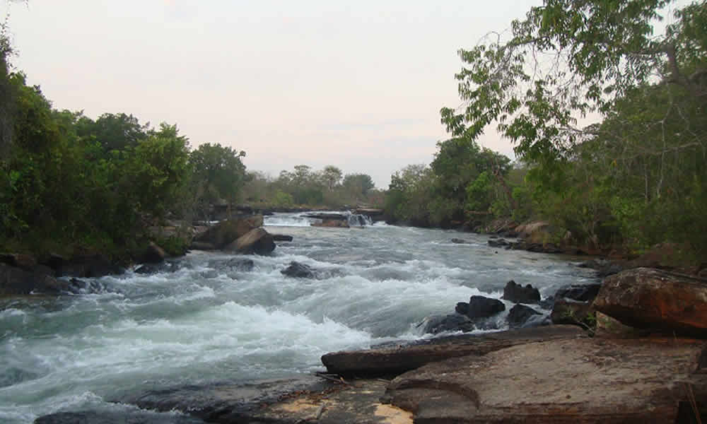 Alto Parnaíba biodiversidade e cultura no encontro do Maranhão com o Piauí