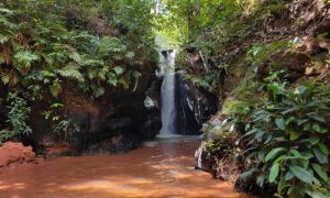 Cachoeira do Dodô um refúgio encantador na Chapada das Mesas